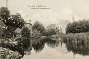 Bierutów młyn - Reprodukcja 12369