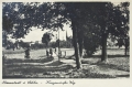 nowe-12375.jpg