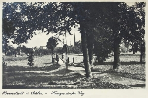 Bierutów - Reprodukcja 12375