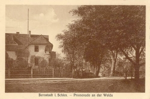 Bierutów - Reprodukcja 12377