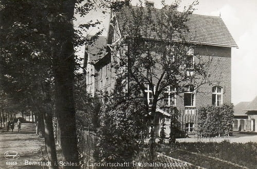 nowe-12388.jpg