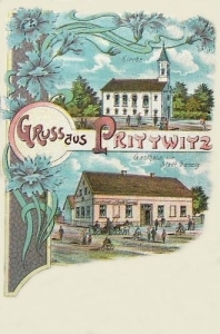 Biadacz widokowa - Reprodukcja 12393