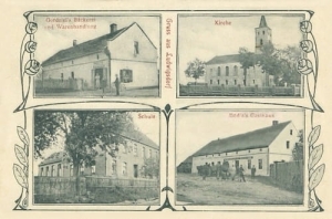 Biadacz widokowa - Reprodukcja 12395