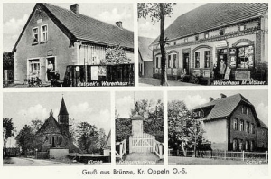 Brynica widokowa - Reprodukcja 12396