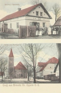 Brynica widokowa - Reprodukcja 12399