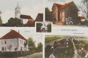 Łubniany widokowa - Reprodukcja 12418