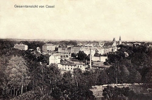 nowe-12487.jpg