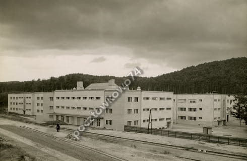 7131463066_1