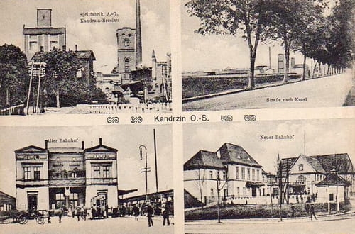 nowe-12571.jpg