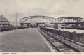 nowe-12617.jpg