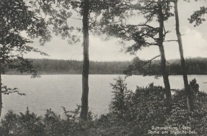 Miastko Jezioro - Reprodukcja 12670