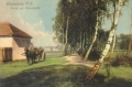 nowe-12853.jpg