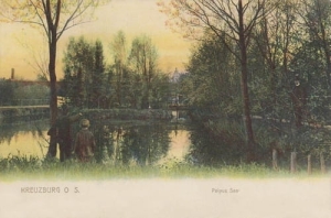 Kluczbork staw - Reprodukcja 12864