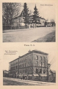 Pszczyna widokowa - Reprodukcja 15552