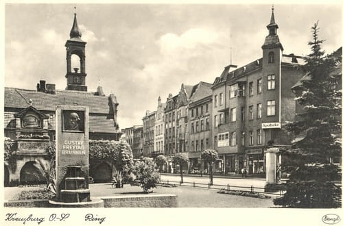 nowe-12933.jpg