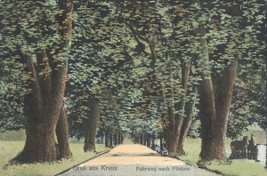 Krzyż Wielkopolski - Reprodukcja 12944