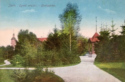 nowe-15664.jpg