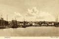 nowe-12984.jpg