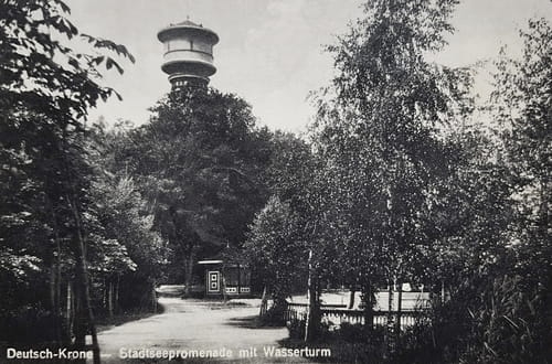 nowe-13077.jpg