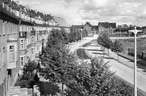 nowe-13086.jpg