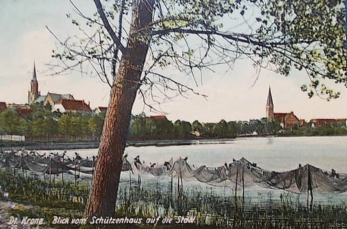 nowe-13095.jpg