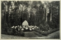 nowe-13110.jpg