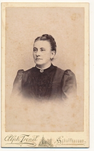 CDV kartonik tekturka 2041
