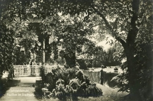 Piła park - Reprodukcja 13181