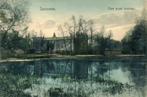 Sosnowiec Staw - Reprodukcja 15419