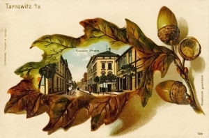 Tarnowskie Góry ul.Krakowska - Reprodukcja 4101