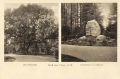 nowe-15501.jpg
