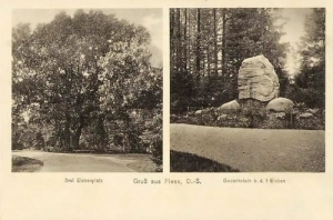Pszczyna widokowa - Reprodukcja 15501