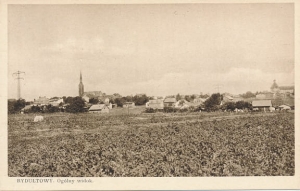Rydułtowy Panorama 01143