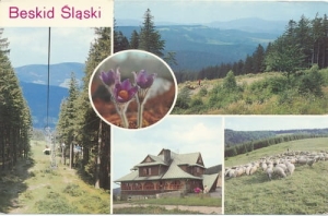 Beskid Śląski  01740
