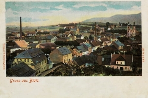 Bielsko Biała panorama -Reprodukcja 313