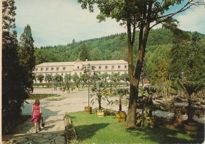 Kudowa Zdrój -  03338