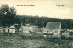 Biedrusko Poznań plac ćwiczeń -Reprodukcja 145