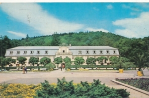 Kudowa Zdrój 01077