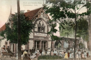 Złocieniec Waldschanke - Reprodukcja 16100