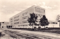 nowe-13205.jpg