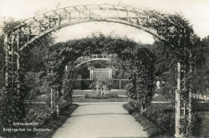 Piła park - Reprodukcja 13233