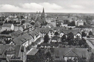 Piła panorama - Reprodukcja 13238