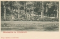nowe-13243.jpg