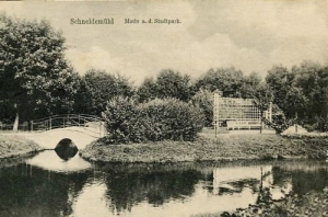 Piła park - Reprodukcja 13245