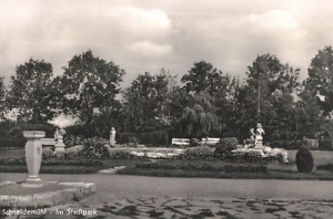 Piła park - Reprodukcja 13246