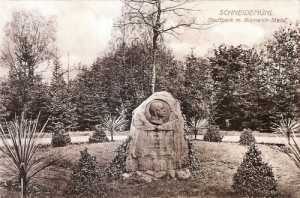 Piła park - Reprodukcja 13247
