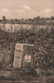 nowe-13249.jpg