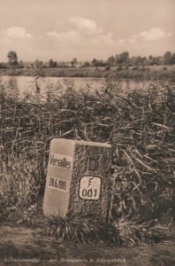 Piła - Reprodukcja 13249