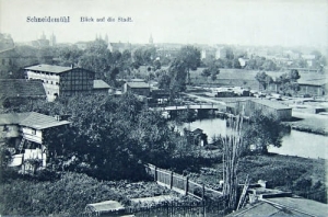 Piła panorama - Reprodukcja 13250