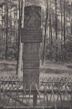 nowe-13271.jpg
